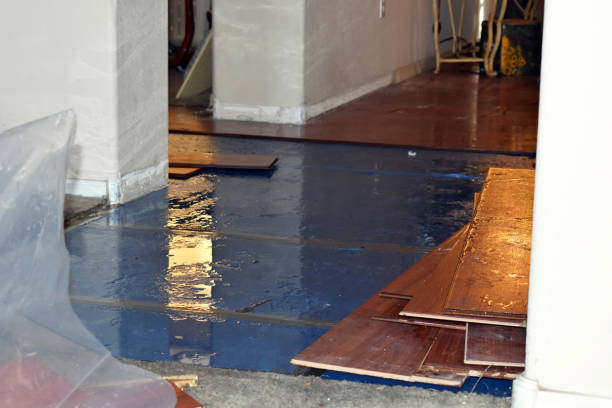 Professional Basement Flood Cleanup technician working in Harwood, ND